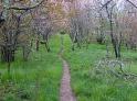 275px-Spence-field-appalachian-trail